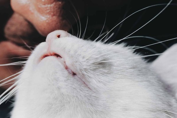 Comment choisir une solution de gestion des ressources humaines pour une entreprise de services de santé à domicile?